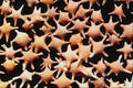 610045 Star Sand, Tonga A4 Photo Print