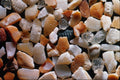 610054 St. Augustine, Florida A4 Photo Print