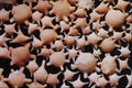 610089 Star Sand, Fiji A4 Photo Print