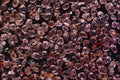 610094 Pt. Gregory, Australia A4 Photo Print