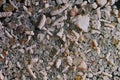 610097 Ostjutland, Denmark A4 Photo Print