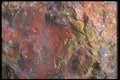 611011 Close up Of Petrified Wood A4 Photo Print
