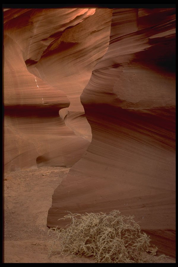611027 Antelope Canyon, Page A4 Photo Print