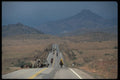 611031 Cattle And Cowboys Moving South On AZ 186 A4 Photo Print