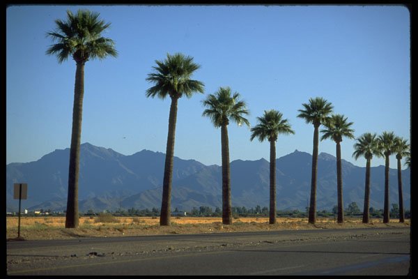 611032 Litchfield Park Road, Interstate 10 A4 Photo Print