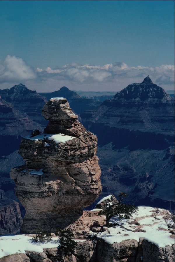611073 Duck on the Rock, Grand Canyon A4 Photo Print