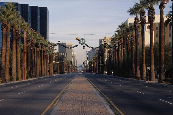 611083 Palm lined Central Avenue, Phoenix A4 Photo Print