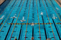 611084 Arizona State University Swim Team A4 Photo Print