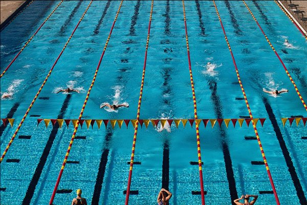 611084 Arizona State University Swim Team A4 Photo Print