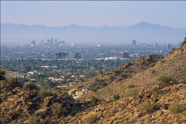 611089 Phoenix In Sun Valley Setting A4 Photo Print