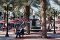 611090 Desert Oasis A4 Photo Print