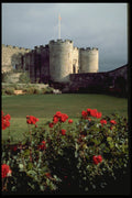 612001 Stirling Castle, Scotland A4 Photo Print
