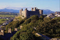 612046 Harlech Castle, Wales A4 Photo Print