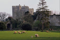 612050 Kentish Castle, Britain A4 Photo Print