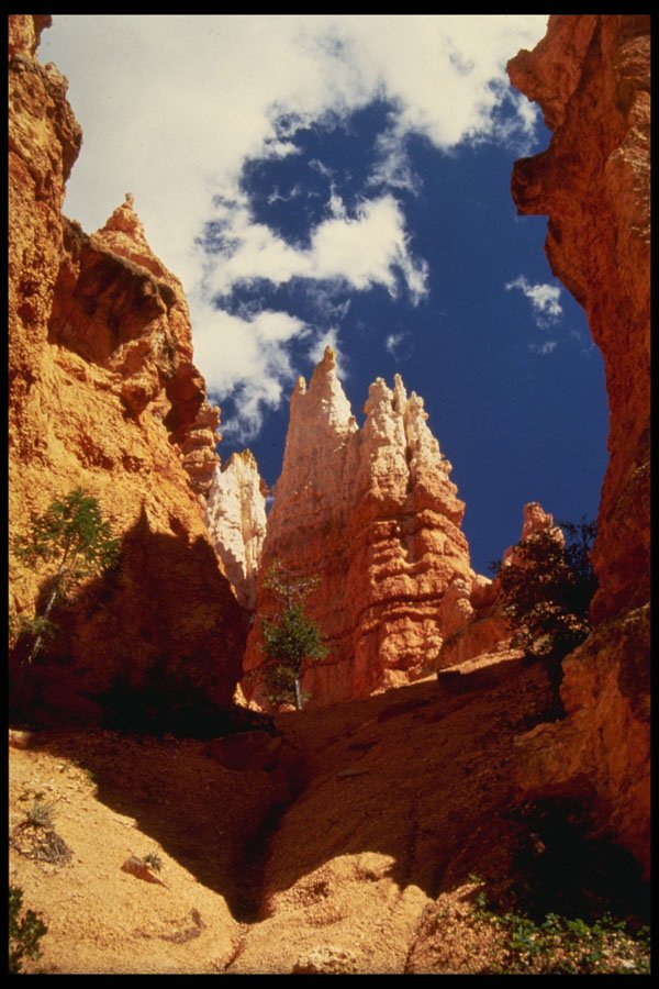 613029 Queen's Garden, Bryce National Park, Utah A4 Photo Print