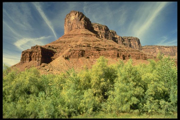 613040 Dome Plateau, Utah A4 Photo Print
