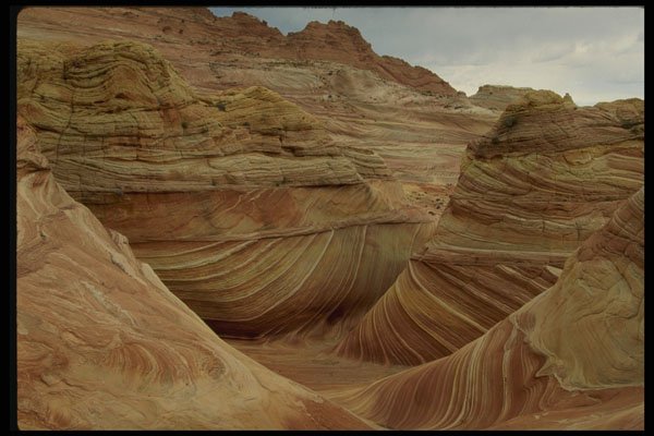 613053 Coyote's Butte, Utah A4 Photo Print