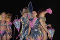 614052 Australian Mardi Gras A4 Photo Print