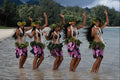 614095 Cook Islands Dancers A4 Photo Print