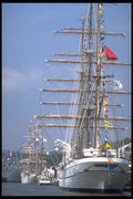 615006 L'Armada De La Liberte , Rouen, France A4 Photo Print