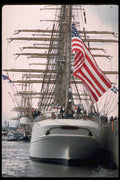 615014 Eagle  A4 Photo Print