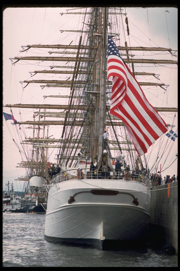 615014 Eagle  A4 Photo Print