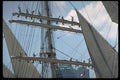 615019 Kruzenshtern  A4 Photo Print