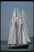 615025 Bluenose II  A4 Photo Print