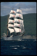 615029 Sagres II  A4 Photo Print