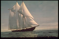 615045 Sailing The Bluenose II  A4 Photo Print