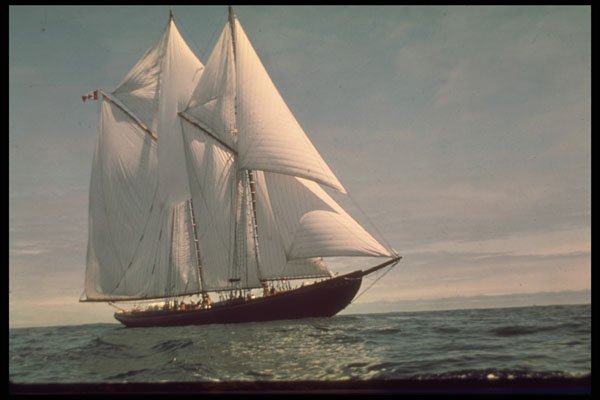615045 Sailing The Bluenose II  A4 Photo Print