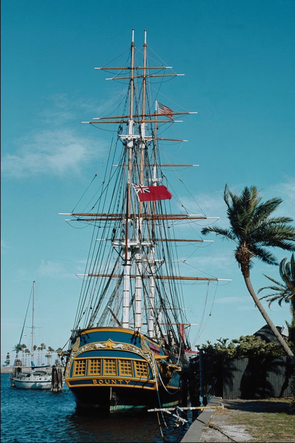 615080 Bounty , Replica At St. Petersburg, Florida A4 Photo Print