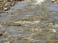 6153001980s 1990s A4 Photo Print