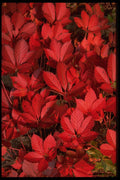 616000 Autumn Landscape, New England A4 Photo Print