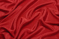 616033 Red Polka Dot Fabric A4 Photo Print
