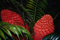 616037 South Africa A4 Photo Print