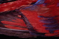 616039 Feathers, Red Lory A4 Photo Print