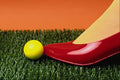 616044 Red Shoe, Yellow Golf Ball And Fake Grass A4 Photo Print