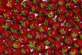 616050 Strawberries A4 Photo Print