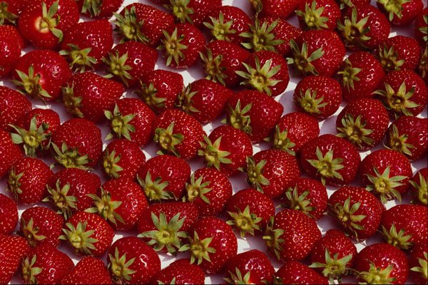 616050 Strawberries A4 Photo Print