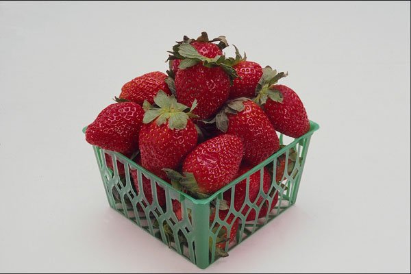 616072 Strawberries A4 Photo Print