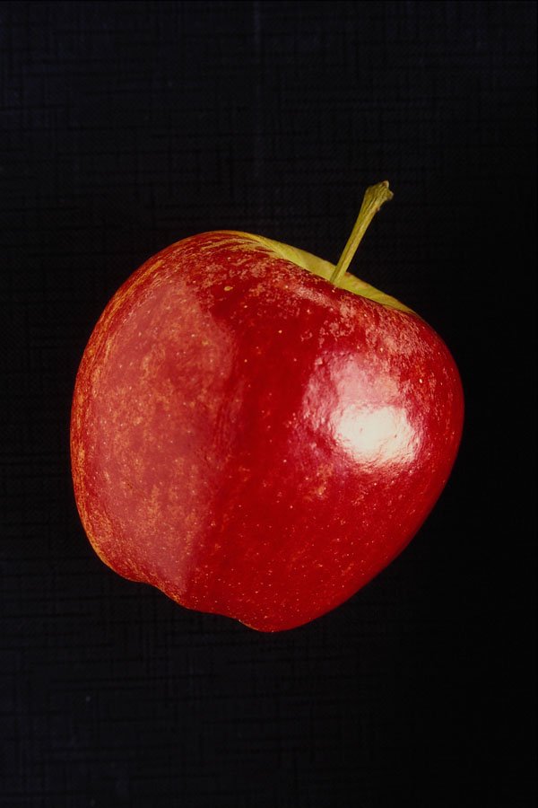 616073 Red Delicious Apple A4 Photo Print