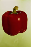 616074 Red Sweet Pepper A4 Photo Print