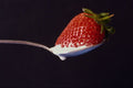 616075 Strawberry And Cream On Spoon A4 Photo Print