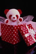 616077 From Teddy With Love A4 Photo Print