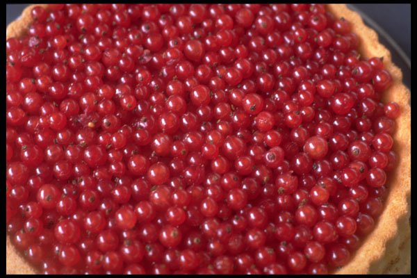 616081 Red Currant Cake A4 Photo Print