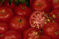 616083 Garden Tomatoes A4 Photo Print