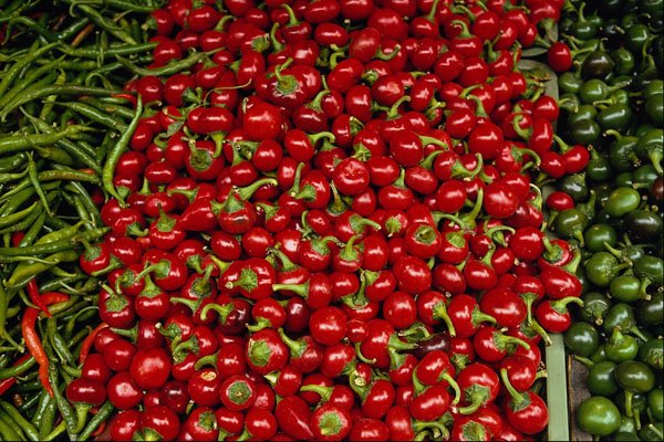 616084 Paprika A4 Photo Print