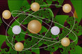 617023 Green Porous Rock A4 Photo Print