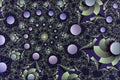 617043 No Void Spaces In This Matrix A4 Photo Print